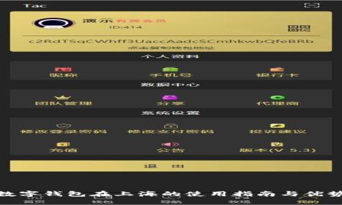 数字钱包在上海的使用指南与优势