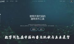 数字钱包在中国的普及现状与未来展望