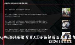 tpWallet还能用多久？全面解析及未来展望