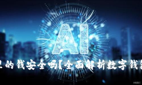 数字钱包里的钱安全吗？全面解析数字钱包的安全性