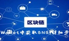 如何在tpWallet中获取BNB：详细步骤与技巧