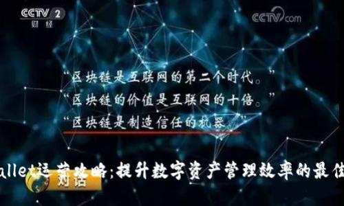 tpWallet运营攻略：提升数字资产管理效率的最佳实践