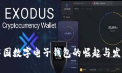 中国数字电子钱包的崛起与发展