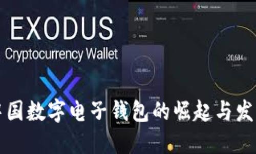 中国数字电子钱包的崛起与发展